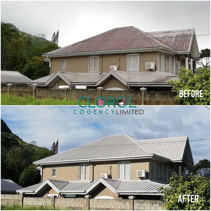 Roof Cleaning & Treatment